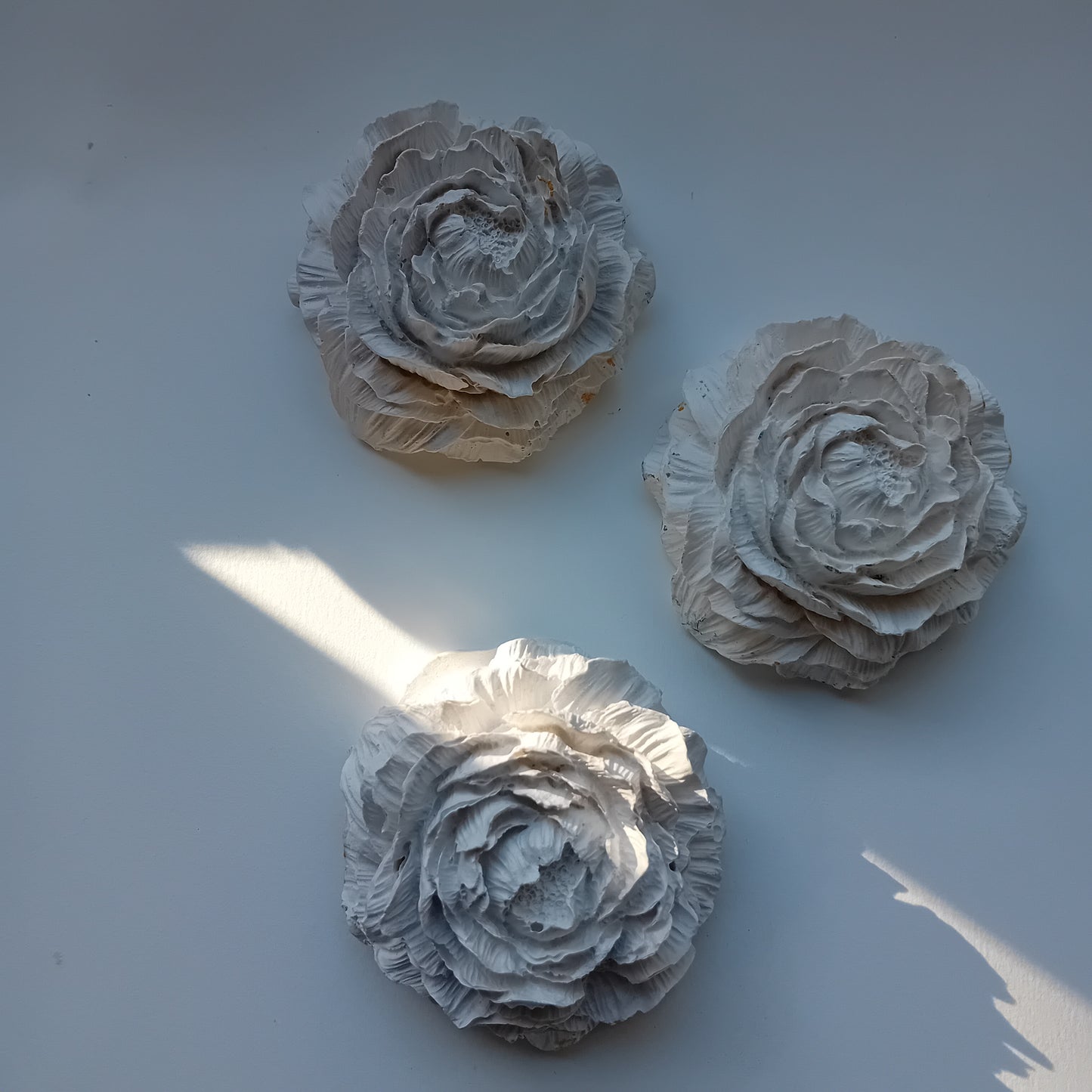 Rose de Diffusion