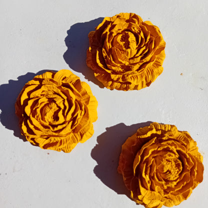 Rose de Diffusion